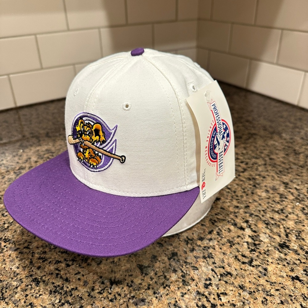 Vtg 90s Charleston RiverDogs MiLB New Era 5950 Pro Model Hat Snapback Wool - Picture 2 of 10
